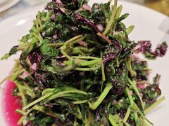 -淮南牛肉汤酒店(可伦公馆店)