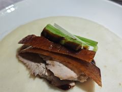 -鸭王烤鸭店(三里河店)