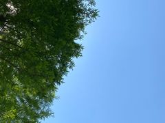 -滆湖低碳生态公园