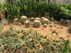 -兰陵国家农业公园