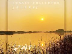 -苏州太湖湖滨国家湿地公园