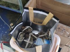 -阳澄湖大闸蟹·琼灵阁牌品牌连锁(吴中总店)