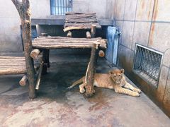 -西安秦岭野生动物园