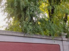 -星河湾温泉洗浴酒店