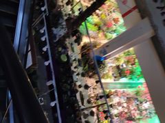 -双季花艺园艺市场(浦东店)