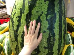 -盒马鲜生(十里堡店)