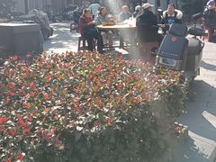 -吉庆街美食广场