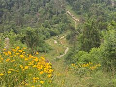 -青龙山国家森林公园