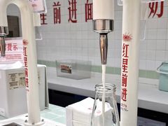 -红星前进面包牛奶公司(君太店)