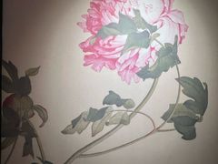 -曹州牡丹园