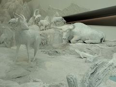 -中国湿地博物馆