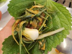 -黄金牧场(明洞总店)