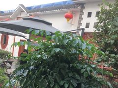 -野渡坡·极致湘菜·庭院餐厅(汉阳店)