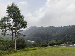 -黄埔油麻山森林公园