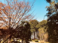 门面-龙吟山房(青龙山庄店)