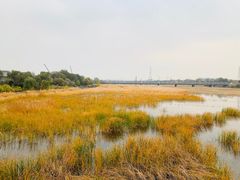 -卢沟桥文化旅游区