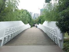 -南翔镇银翔湖公园