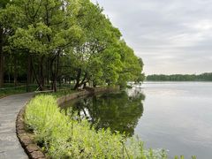 -东湖落雁景区