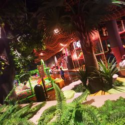 -奇幻丛林(佛罗伦萨小镇店)