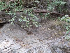 -北京上方山国家森林公园