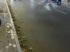 -健康路夜市