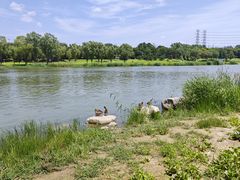 -门城湖公园