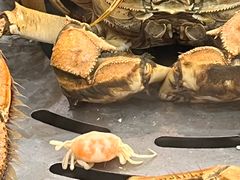 -仙螺岛海鲜自助餐厅(总店)