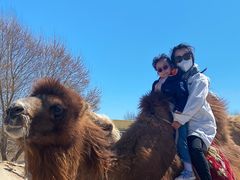 -库伦旗银沙湾旅游景区