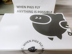 -WHEN PIGS FLY当猪飞