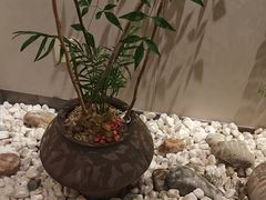 -石饮红星包子(中山路店)