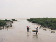 -北海金海湾红树林生态旅游区