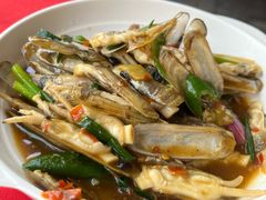 炒蛏子-蛇口康乐快餐鱼仔档(翠苑小区店)