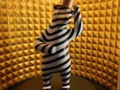 -碧中海汤泉汗蒸酒店