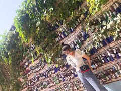 -西西这里民谣酒馆