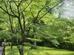 -三千院