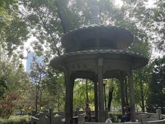 -玲珑塔公园