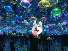 -天津梵高星空艺术馆(天河城旗舰店)