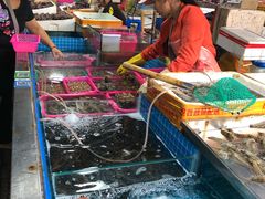 水产区-三亚新鸿港水果一级批发市场