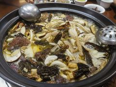 -菌之家·专业纯野生菌火锅·特色炒菌
