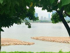 -深圳人才公园