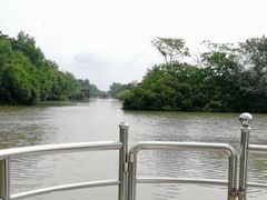 -大湾区中央湿地公园