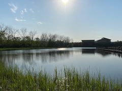 -溱湖国家湿地公园