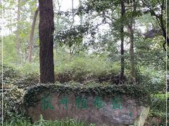 -杭州植物园