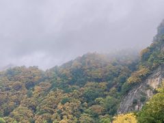 -朱雀国家森林公园