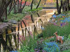 -上海共青森林公园