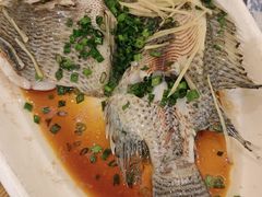 -亲子百果农庄