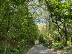 -沈阳市东陵公园