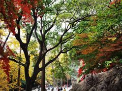 -青岛崂山太清宫