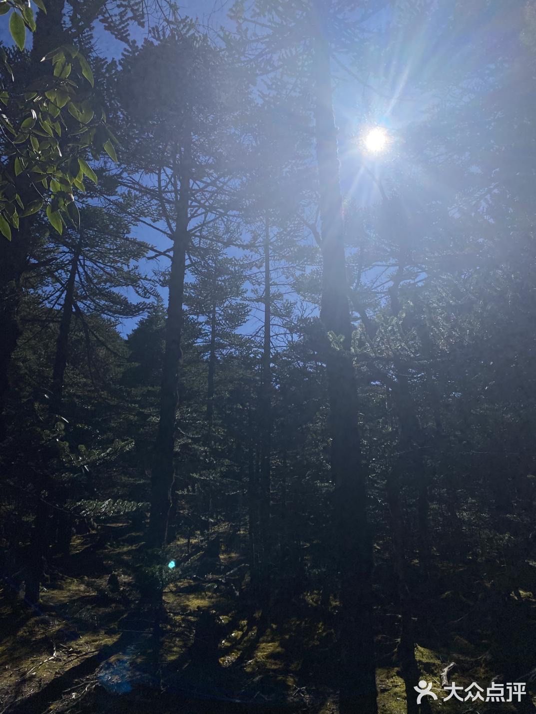 [胜利][胜利][加油]轿子雪山旅游攻略