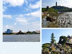 -顺峰山公园